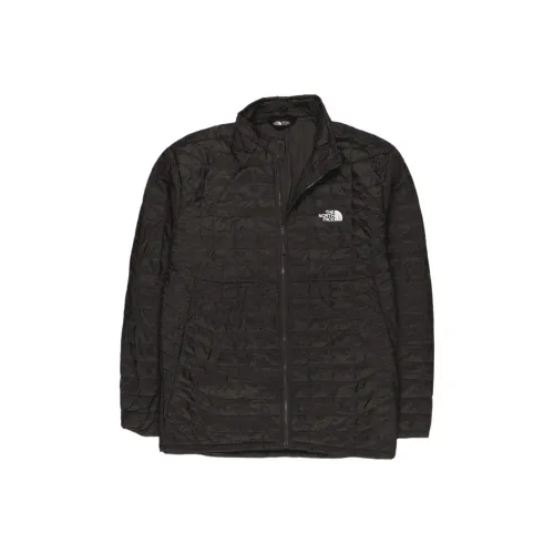 THE NORTH FACE ThermoBall Куртка Мужская