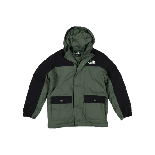 THE NORTH FACE Y Brighton PARKA Пальто Мужской
