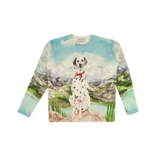 CASABLANCA Синий Мужской Свитеры