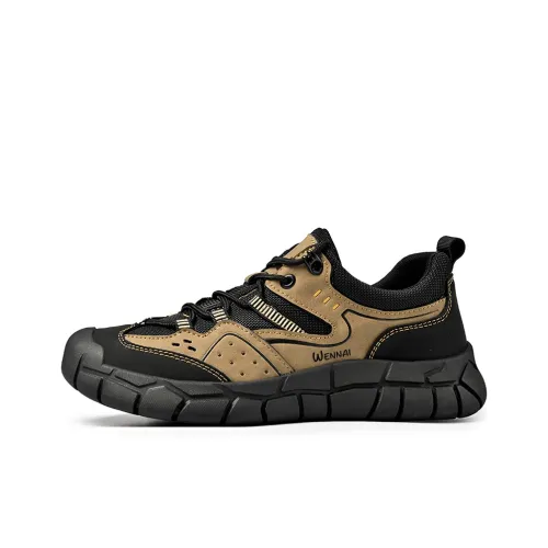 Wen Nai Casual Низкий Топ Khaki Мужской