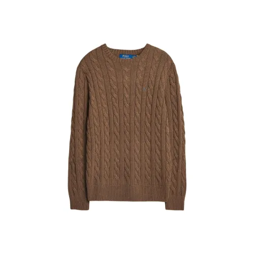 Polo Ralph Lauren Трикотаж Мужской Кофейный Коричневый