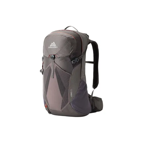 GREGORY 30L Туристические сумки Нейлон Torch Серый Женские