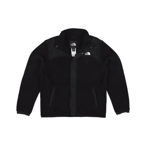 THE NORTH FACE M Тундровый Full Zip Бархат Feel Пальто Мужской