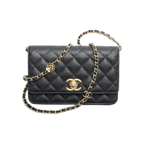 CHANEL Сумки через плечо Женские
