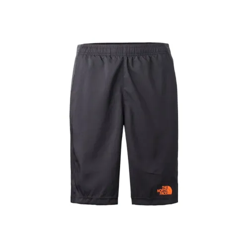 THE NORTH FACE Черные/Серые Мужские Спортивные Шорты