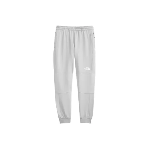 The North Face Tekware Серые Женские Спортивные Брюки