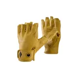 Горчично-желтый