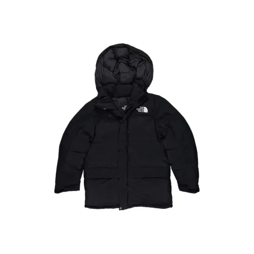 THE NORTH FACE HMLYN FW AW21 PARKA Пальто Мужской
