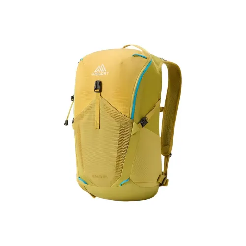 GREGORY 24L Туристические сумки Нейлон Песчаник Желтый Унисекс
