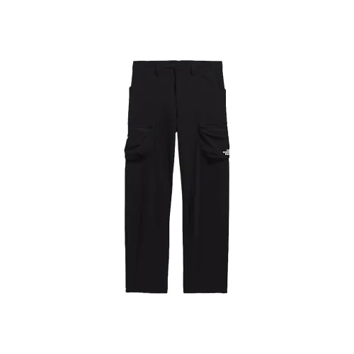 THE NORTH FACE Повседневные брюки Мужские