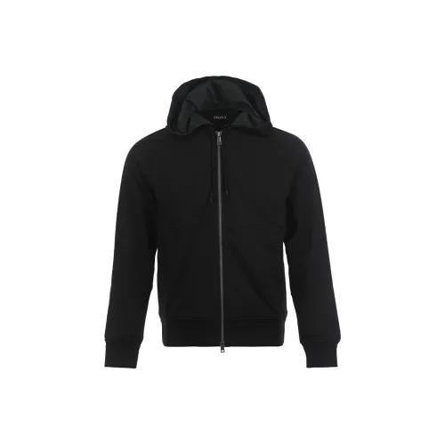 Ermenegildo Zegna Черные Мужские Толстовки