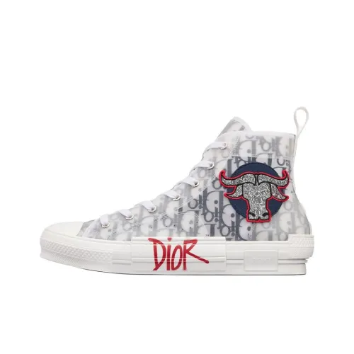 DIOR B23 Canvas Shoes High Top Мужские
