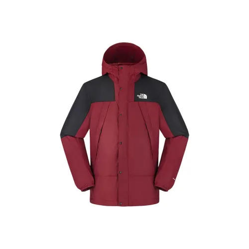 The North Face Mountain Jacket Men's