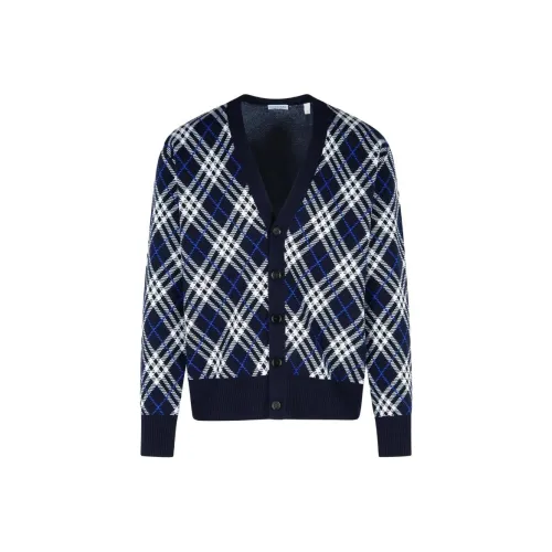 Burberry Трикотаж Мужской Темно-синий