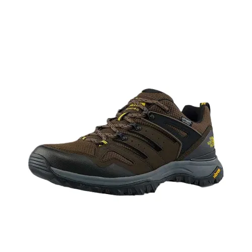 THE NORTH FACE Низкий топ Походная обувь Мужская Коричневый Черный