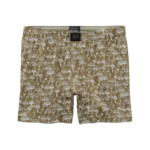 AMERICAN EAGLE Повседневные шорты Мужские