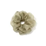 Свет Шампанское