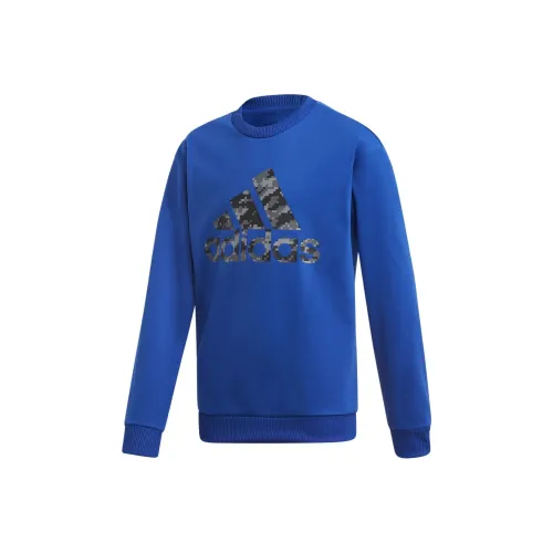 Adidas Синие Толстовки для школьного возраста