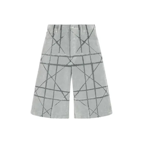 DIOR Lewis Hamilton Collaboration Series FW25 Повседневные шорты Мужской