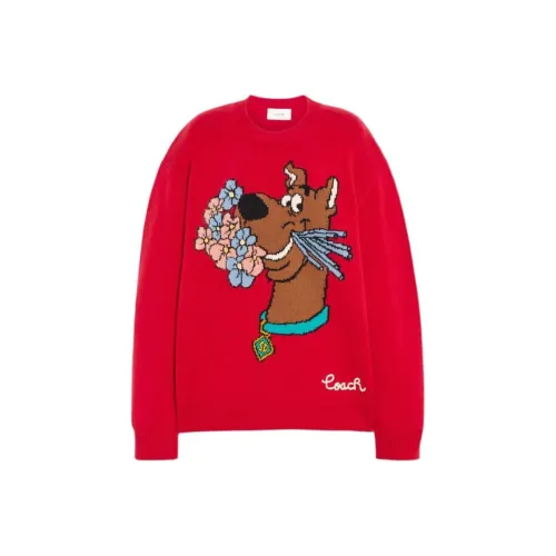 COACH Женские свитеры красного цвета