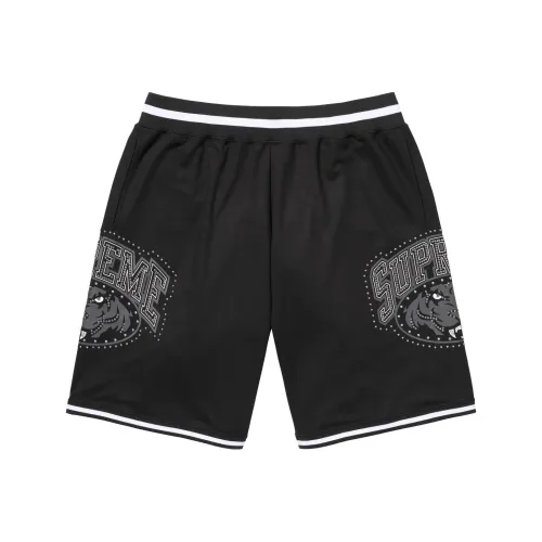 Supreme SS25 Унисекс Баскетбольные шорты