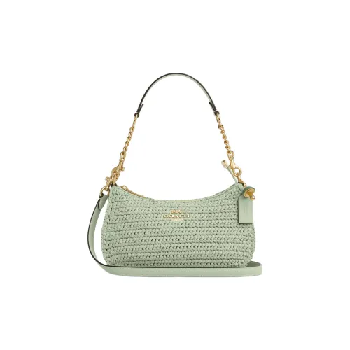 COACH Teri Солома Портативная Сумка через плечо Сумка на плечо Средняя Женская Фисташково-зеленая