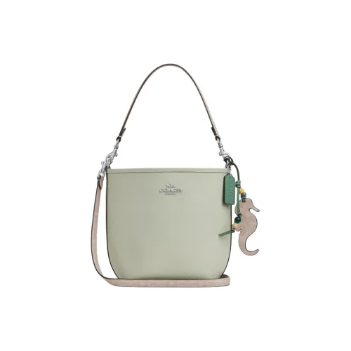 COACH Кожа Через плечо Сумка сумка через плечо Женская Серебряная Светлый Фисташковый Песочный