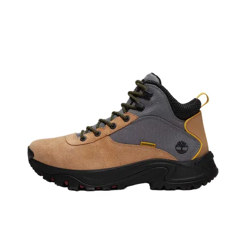 Timberland Maddsen Водонепроницаемый Grip Низкий Топ Походная обувь Мужская Коричневый