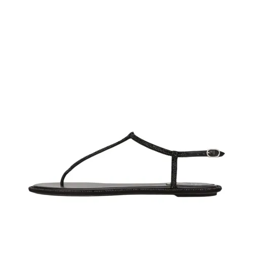 RENE CAOVILLA One Ремешок Сандалии Женские Черные