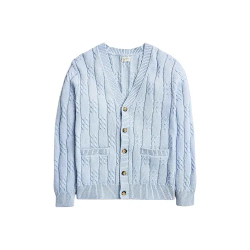 J.Crew Небесно-синий Мужской Трикотаж