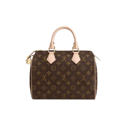 LOUIS VUITTON Speedy Холст Pillow Bag Сумка через плечо Сумка Сумка 25 Женская Коричневая