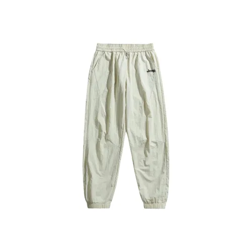 JEEP Wrangler Повседневные брюки Унисекс