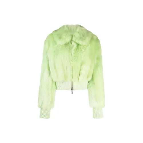 Blumarine Зеленые Женские Куртки
