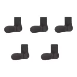 Звездный серый