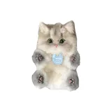 Рекомендуемый размер 10, материал: котенок (упаковка)