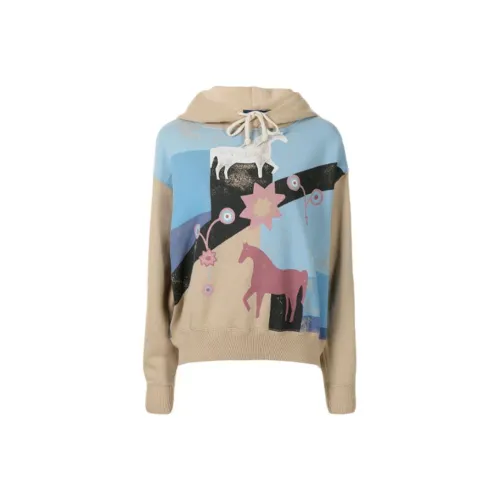 Polo Ralph Lauren Свитшот Женские Коричневый