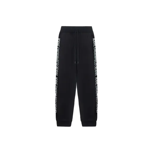 KARL LAGERFELD Повседневные брюки Мужские