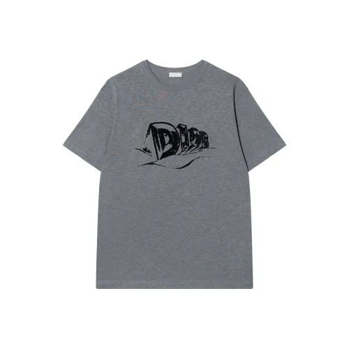 DIOR Серый Мужской T-Рубашки