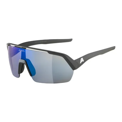 ALPINA Нерегулярная форма Солнцезащитные очки Унисекс Черный