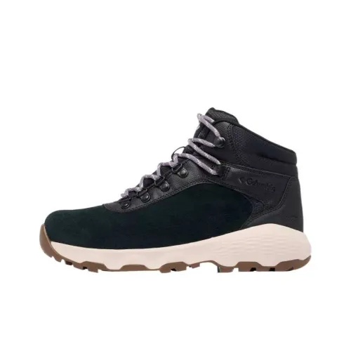 Columbia Newton Wander™ Амортизация Водонепроницаемый Низкий Топ Альпинизм Походная обувь Женская Черный Фиолетовый