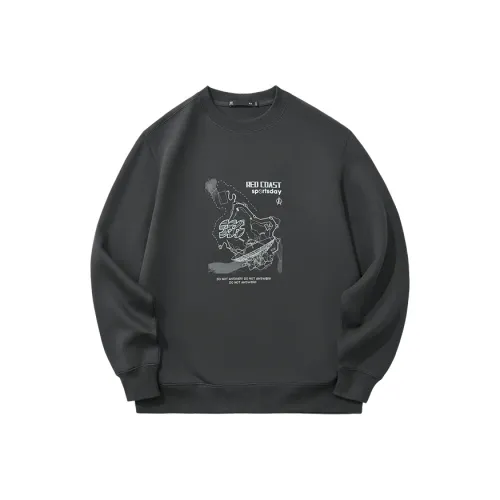 HLA Унисекс Толстовки