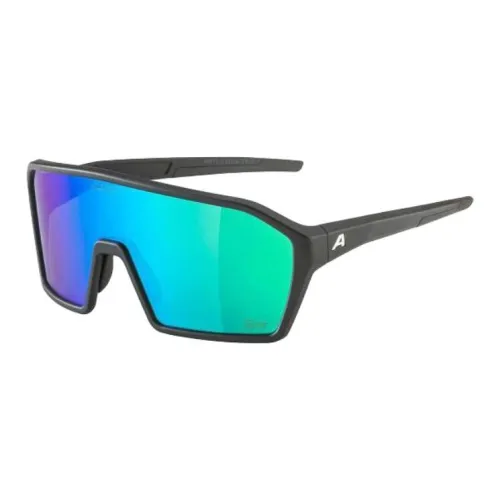 ALPINA Нерегулярная форма Солнцезащитные очки Мужской Черный