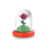 Маленький принц'S Розовый [Оранжево-красная основа]