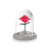 Маленький принц'S Розовый [Планета Основа]