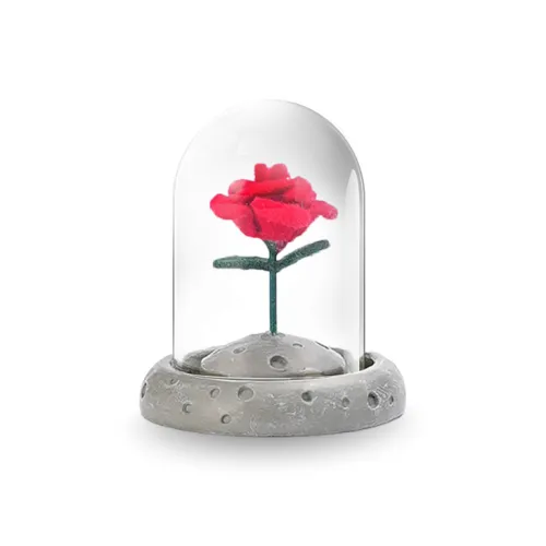 JOYDINNY Смола Декоративные изделия Унисекс