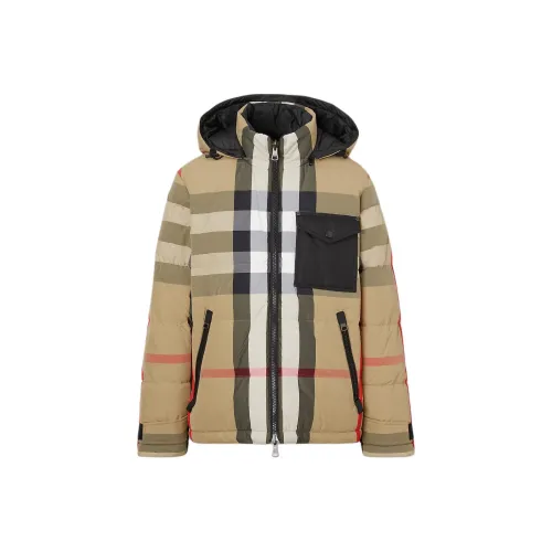 Burberry Бежевый Мужской Пуховик