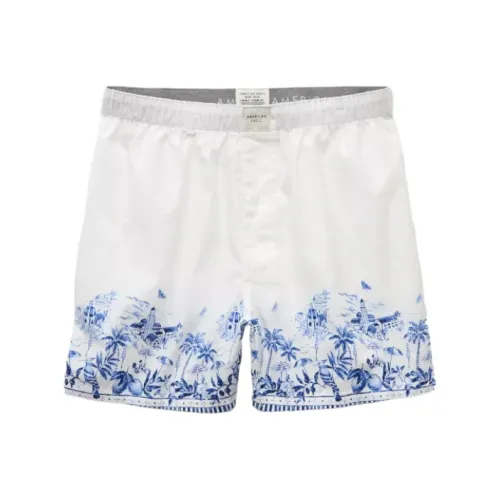 AMERICAN EAGLE Повседневные шорты Мужские