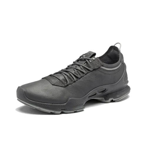 Ecco Striding C Low Топ Повседневная обувь Мужская Магнитно-серый