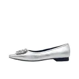 Будущее Серебряный