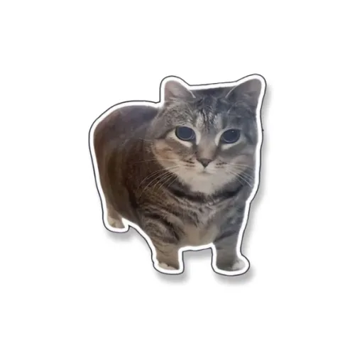 LuluCanaan Плюшевые брелоки унисекс